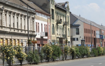 Szerdától bő egy hétig virágokat és fákat ültetnek a Berzsenyi utcában