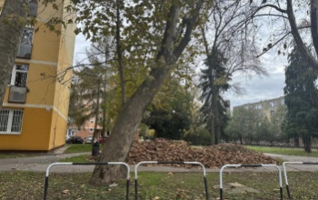 Takarítják a Honvéd utcát, elszállítják a lehullott leveleket