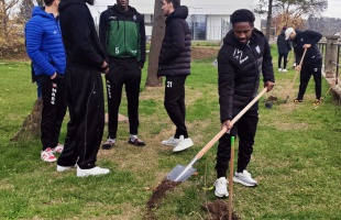 Fákat ültetett a KHG és a kosárcsapat a Jókai ligetben