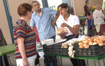 Olcsó vegyszermentes zöldségek