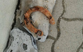 Lópatkót találtak a Virágfürdő 50 méteres medencéjének feltöltőcsövében