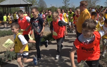 Nárcisz-futást rendeztek a Városligetben