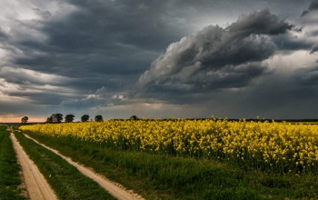 Tavasz, ünnep után zuhi, nyár, hidegfront