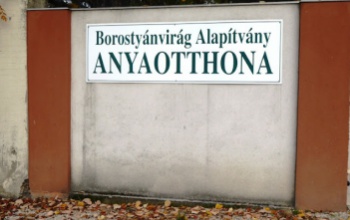 Több mint 140 ezer forintot ajánlottak fel a kaposvári futárok Borostyánvirág Alapítványnak