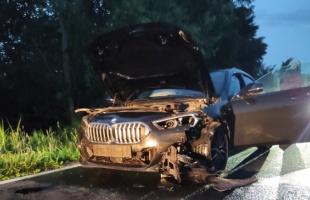 Vadat gázolt egy autó Fonyódnál