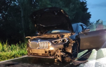 Vadat gázolt egy autó Fonyódnál