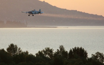 Elrendelték az első kémiai szúnyogirtást a Balatonon