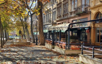 Változatlanok maradnak a helyi adók, Kaposvár is segíti a vendéglátóhelyeket