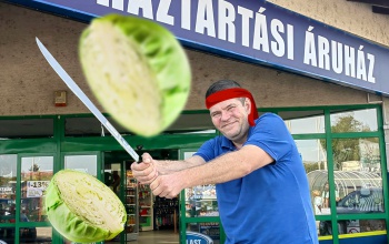 November 10-én káposztavásár a Marázplastnál