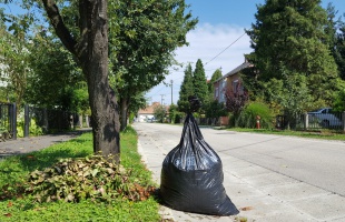 Ezeken a napokon szállítják el a zöldhulladékot