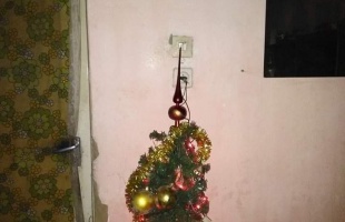 Deutsch Éva karácsonyfája