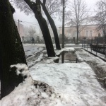 forrás: www.nlcafe.hu