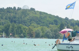 7309-en vettek részt idén a 36. Balaton-átúszáson