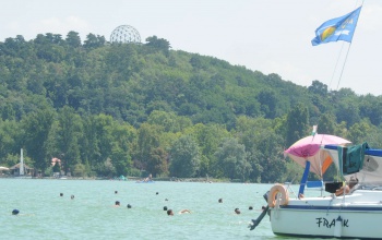 7309-en vettek részt idén a 36. Balaton-átúszáson