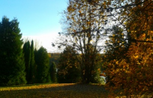 Csodaszép a Kaposfüredi Arborétum ősszel