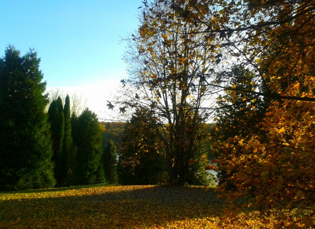 Csodaszép a Kaposfüredi Arborétum ősszel