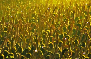 Idén nem lesz Kapcsolat-koncert