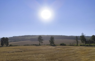 Forróság
