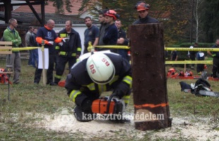 Favágásban a legjobb tíz között a somogyi tűzoltók