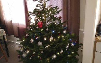 Rami és Rajmi karácsonyfája