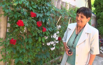 Biztonságban az idősek: gombnyomásra hív segítséget a Gondosóra - videó
