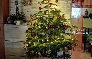 Ildikó és Zsolti karácsonyfája