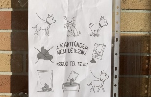 Bár javult a helyzet, de még mindig sok a kutyapiszok az utcán