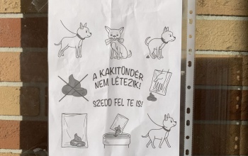 Bár javult a helyzet, de még mindig sok a kutyapiszok az utcán