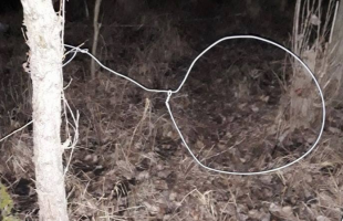 Vasútról lopott dróttal akartak vadat elejteni
