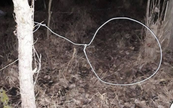 Vasútról lopott dróttal akartak vadat elejteni