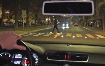 Hiába intelligens a zebra Kaposváron, ha a gyalogosok keresztbe mennek át rajta