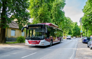 Ismét a rendes útvonalakon közlekednek a helyi járatos buszok