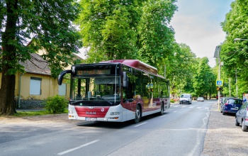 Ismét a rendes útvonalakon közlekednek a helyi járatos buszok
