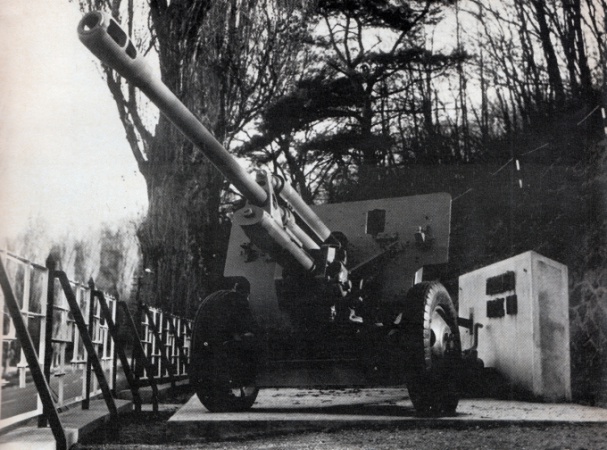 Szemben az ágyúcsővel (Kaposvár 1968-ban)