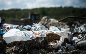 Kaposvári fotós Európa legjobbja