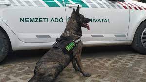 Még több kutya teljesít szolgálatot a NAV-nál