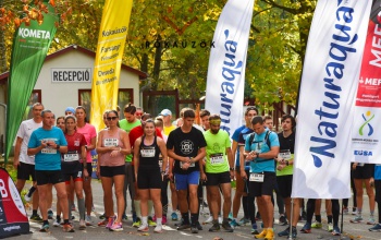 Szombaton rajtolnak a Rókaűzők – Figyelmet kérnek az erdőlátogatóktól