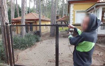 Tetten érték a balatoni sorozatbetörőt