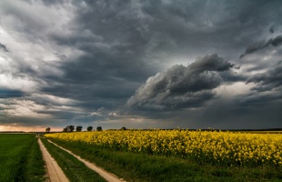 Egész héten változékony, szürke időre számíthatunk