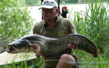 Kleine Fische, gute Fische