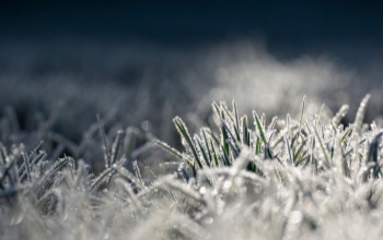Az előzetes adatok alapján megdőlt a hajnali hidegrekord pénteken