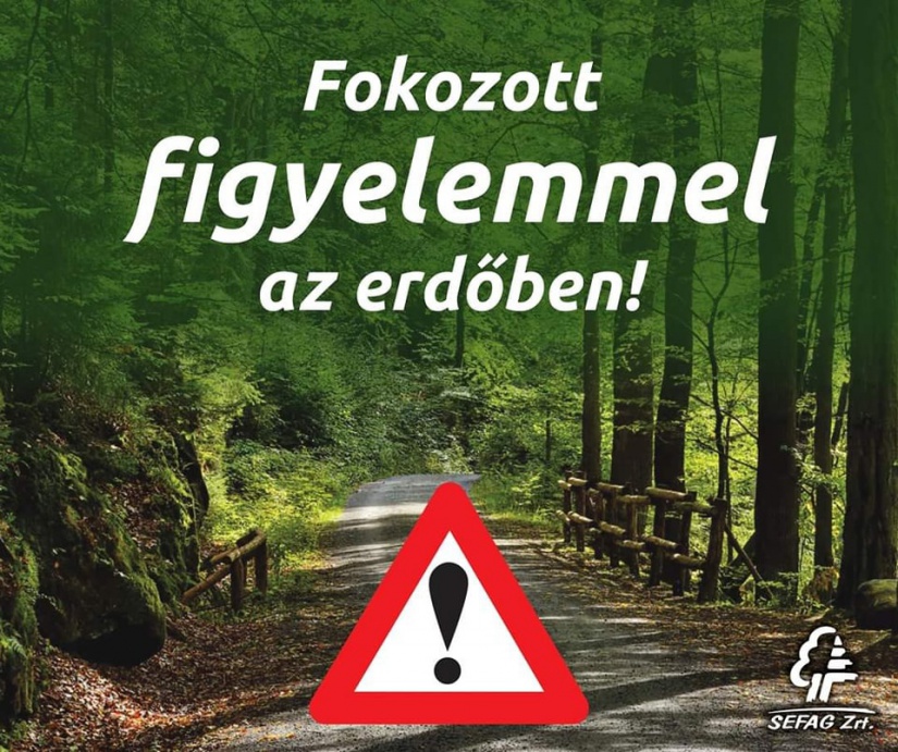 Fotó: Facebook/SEFAG Zrt.