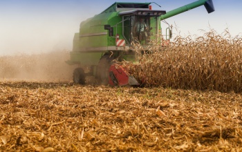 Az agrártámogatások kifizetésével segítik a gazdálkodókat