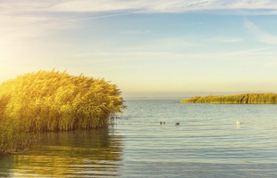 Nehézkes lesz a nádvágás a Balatonon