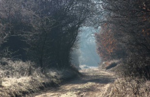 Rekord hideg idővel indult az október