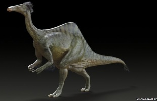 Megoldódott az óriáskarú dinoszaurusz fél évszázados rejtélye