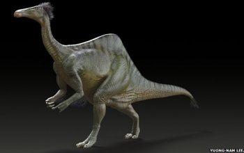 Megoldódott az óriáskarú dinoszaurusz fél évszázados rejtélye