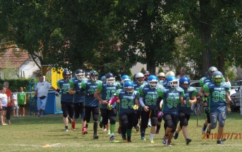 Kaposvár Hornets: Lebegj, mint a pillangó, szúrj, mint a Darázs!