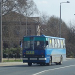CCK-516