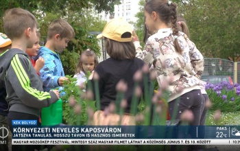 Környezeti nevelés a Búzavirág oviban - Kaposváron forgatott az M1 stábja